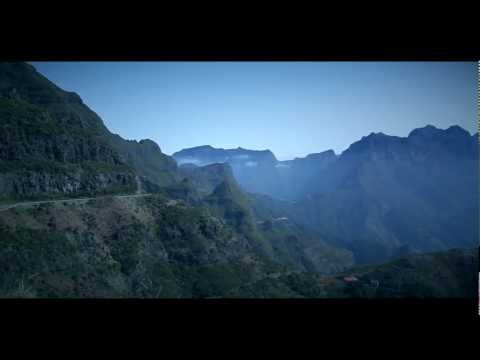 Madeira Island Laurissilva Forest