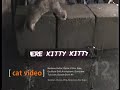 Blue Man Group - Cat Video Blue Man Group - Cat Video
