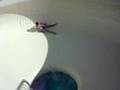 o theoxaris sto waterpark tis rodou