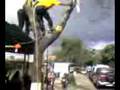Poda de Arbol
