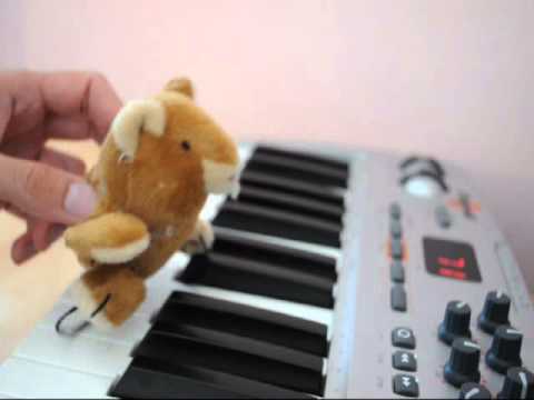 Video 12 opic