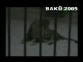 Uyan Ey Gözlerim Gaflet Uykusundan *islamekin*