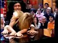 Alessia Marcuzzi Oops on Italian TV by Telegossip