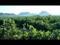 Bodegas Luzón