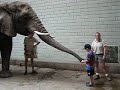 Elephant Encounter Sam Katz