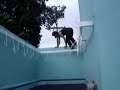 Le Parkour Dracena - Video Treino Le Parkour Dracena - Video Treino
