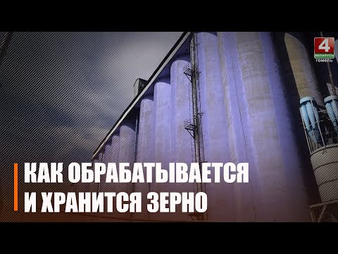 Дзяржзаказ Гомельскаму камбінату хлебапрадуктаў на 2023 год складае 43 500 тон видео