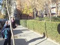 a por el ovulo