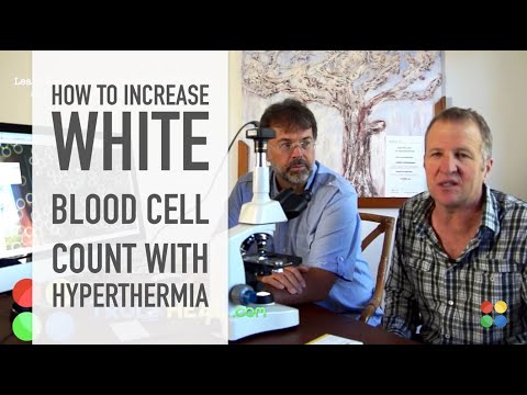 how to cure high wbc count