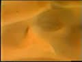 Yusuf Islam - Tala Al Badro Yusuf Islam - Tala Al Badro