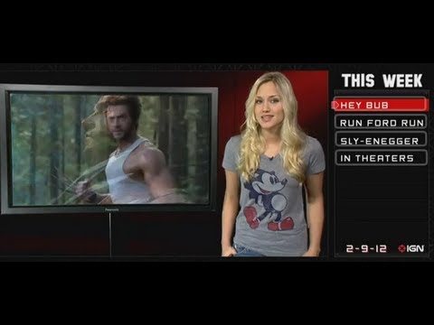 the wolverine