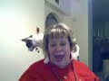 Lance The Cat Meows Merry Christmas To Youtubers Lance The Cat Meows Merry Christmas To Youtubers