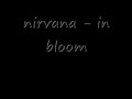 nirvana - in bloom