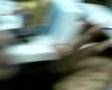 videos de BONCHES