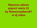 flamenco salsero popurri remix 23 by flamencosalsero07 vs dj cobos