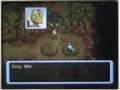 Pokemon Mystery Dungeon 2 Walkthrough Part 7