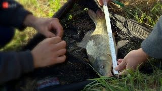 Malí rybáři lovili na Křemačáku