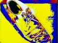 VISUAL LOOP 1986 !!! by  EL GEKO