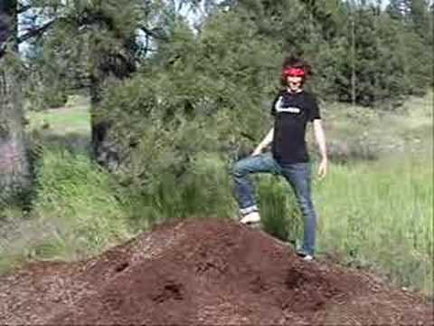 Random Video