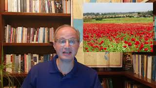 عين على فلسطين, الحلثة 120, قرية أبو الفضل-قضاء الرملة