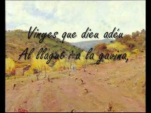 Vinyes verdes vora el mar