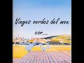 Vinyes verdes vora el mar
