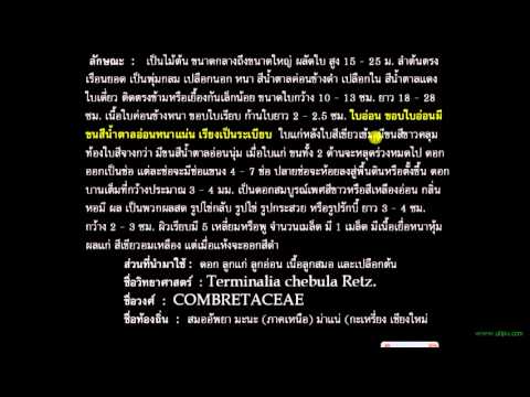 ตรีผลา - บรรยายโดย อ.ประสิทธิ์ คงทรัพย์ โรงเรียน สิริภัจจ์ การแพทย์แผนไทย โทร. 087-1639644 ้http://www.siripatthaimedonlineschool.com.