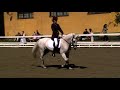 camomille dressyr