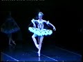 A dream cast of this Nureyev's Don Quixote! Highlights by the Paris Opera Ballet : Kitri : Sylvie Guillem; Basilio : Nicolas Leriche; Dryad Queen : Agnes Letestu.