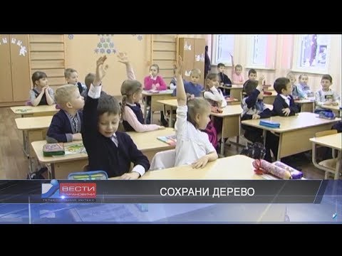 Вести Барановичи 13 декабря 2017.