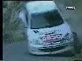 rally accident peugeot 206 wrc de gilles panizzi