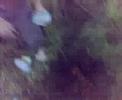 Asker Leth p� udflugt!