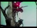 Search Video