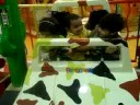 at fun city