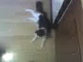 Kids 3
