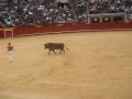 recortes 19