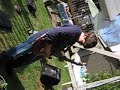 frank jamming frank jamming