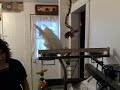 Beaker vs. The Bucket