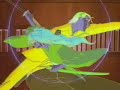 rurouni kenshin   sober: la nube