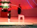 Marine Show in Kanagawa Pref.
