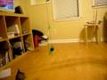 Mookie leaping