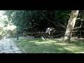 Parkour Burgos -...