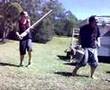 ulladulla jackass