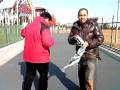 videos de nagashima super land steel dragon