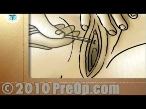 how to program new balance hrt fit