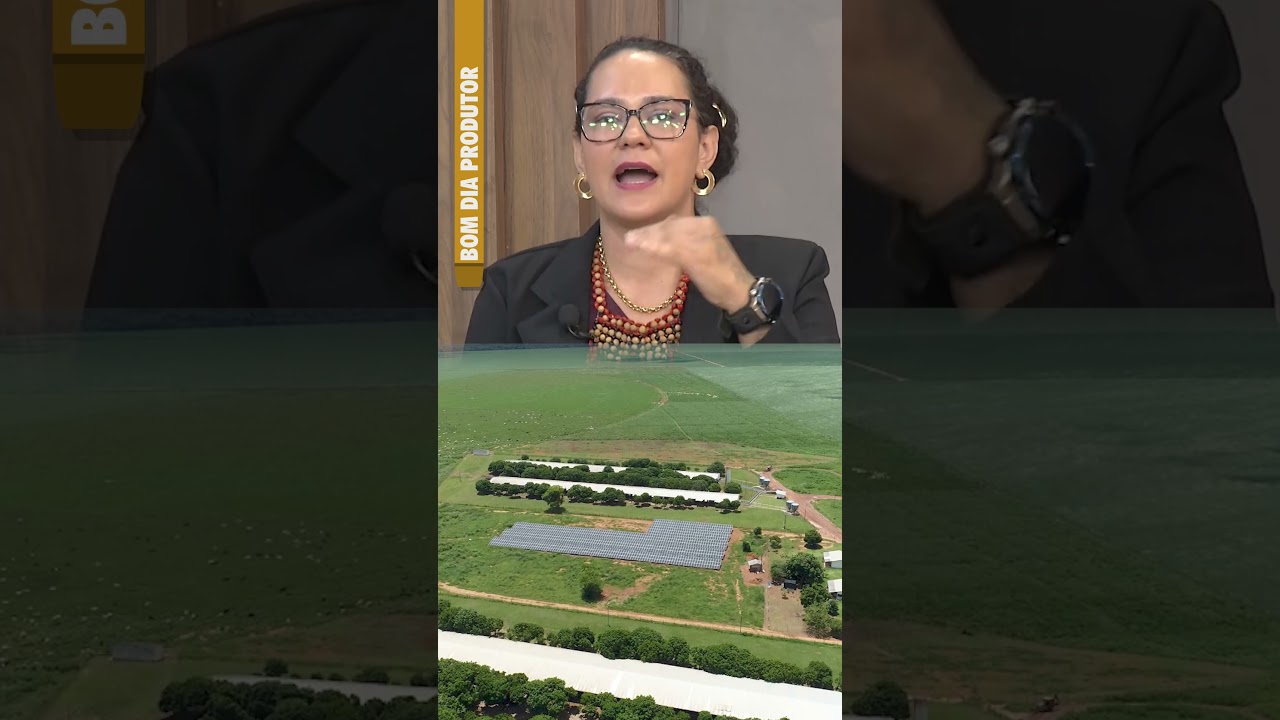 60% das exportações brasileiras já enfrentam algum tipo de exigência socioambiental