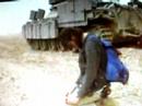 Rachel Ailene Corrie