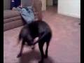 Bella Having a Special Moment