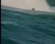 Pearl-jam-big-wave-v