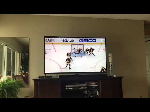 Lily Prendergast 46 Saves Championship game TD Garden TV footage 8th grade varsity